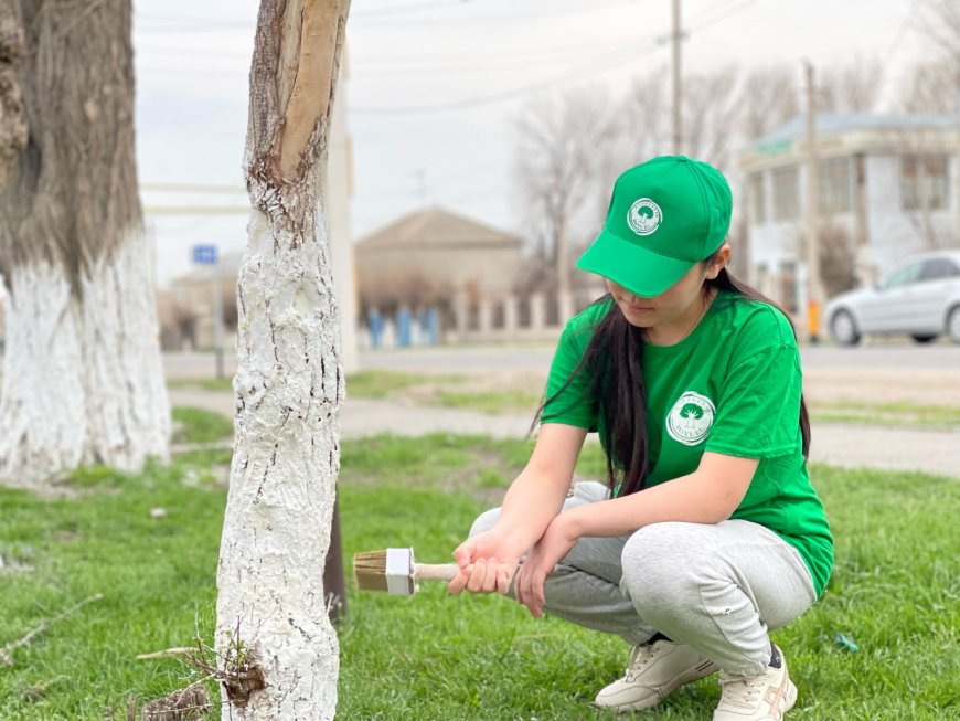 Жамбыл ауданы  «Жасыл ел» еңбек жасақтары