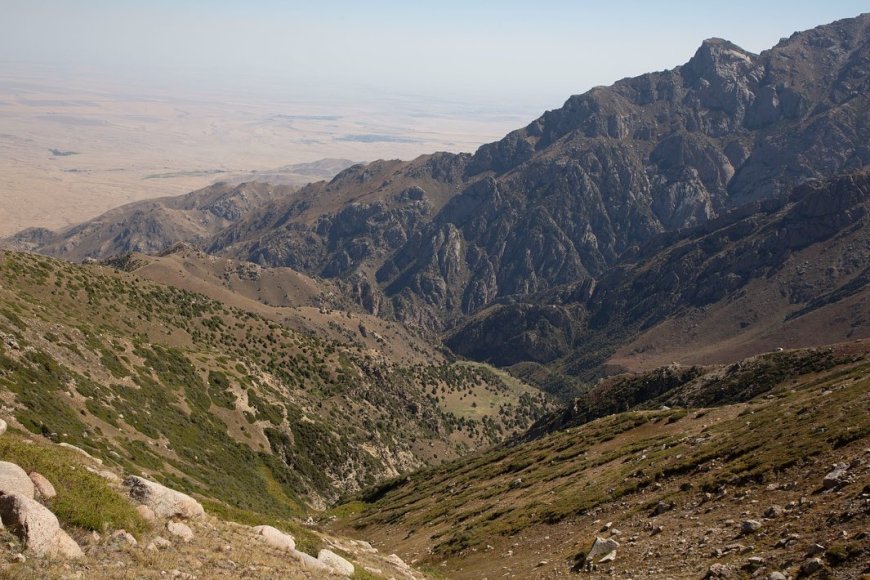 Ұлы Жеңістің 80 жылдығына арналған облыстық турнир!