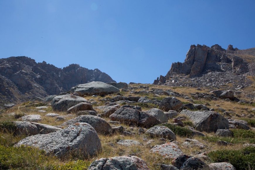 Ұлы Жеңістің 80 жылдығына арналған облыстық турнир!