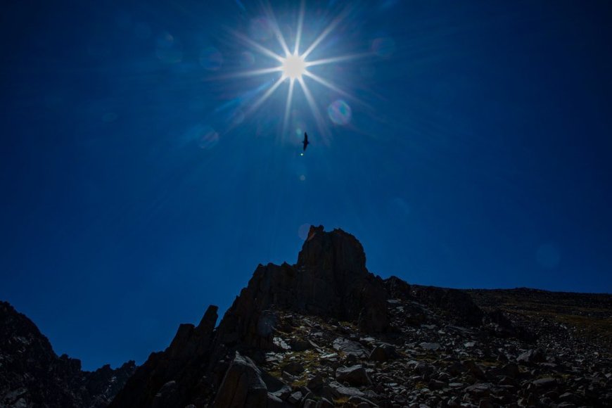 Ұлы Жеңістің 80 жылдығына арналған облыстық турнир!