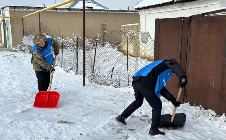 «Таза Бейсенбі» акциясы: қарттар үйлері мен жалғызілікті қарттардың аулалары тазаланды
