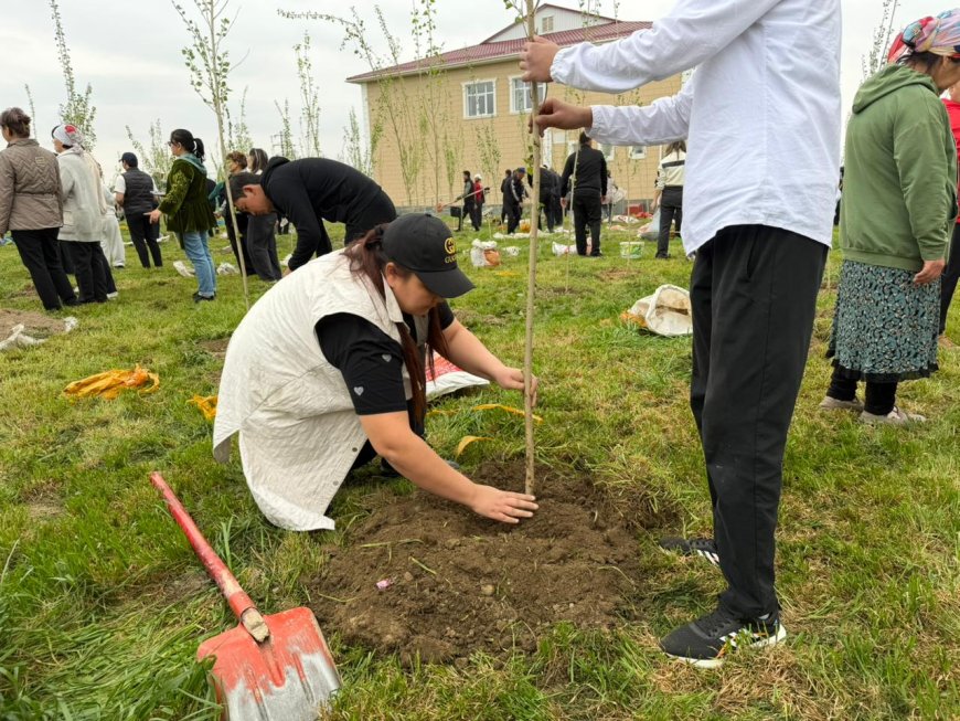 «Таза Қазақстан» акциясы